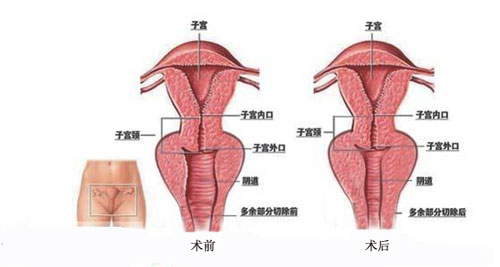 2023蘇州面部綜合管理十大專家口碑排名(孫瀾、魏國祥、宋茂芹口碑推薦人氣高)