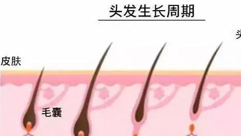 徐州市中心醫(yī)院整形美容科的醫(yī)生介紹及鼻子手術(shù)費用如何？