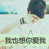 廉帥