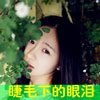 藺雪菲