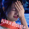 婁雨杉