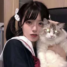 段金燕