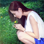 強(qiáng)紫茗