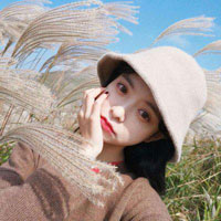 庫昭奇