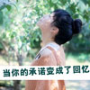 申家鑄