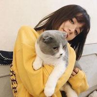 查星群