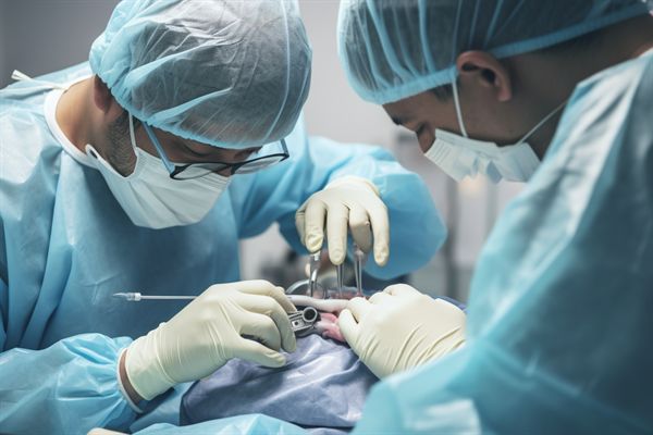 3D打印人工骨修復(fù)顴骨下頜缺損:工藝精湛為何造價不菲 3D打印人工骨修復(fù)顴骨下頜缺損:工藝精湛為何造價不菲