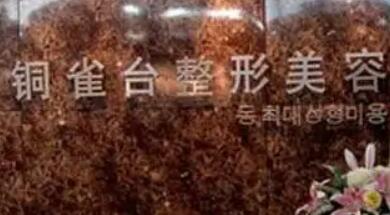重慶銅雀臺整形 重慶銅雀臺整形