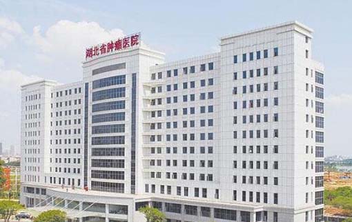 湖北省腫瘤醫(yī)院整形科 湖北省腫瘤醫(yī)院整形科