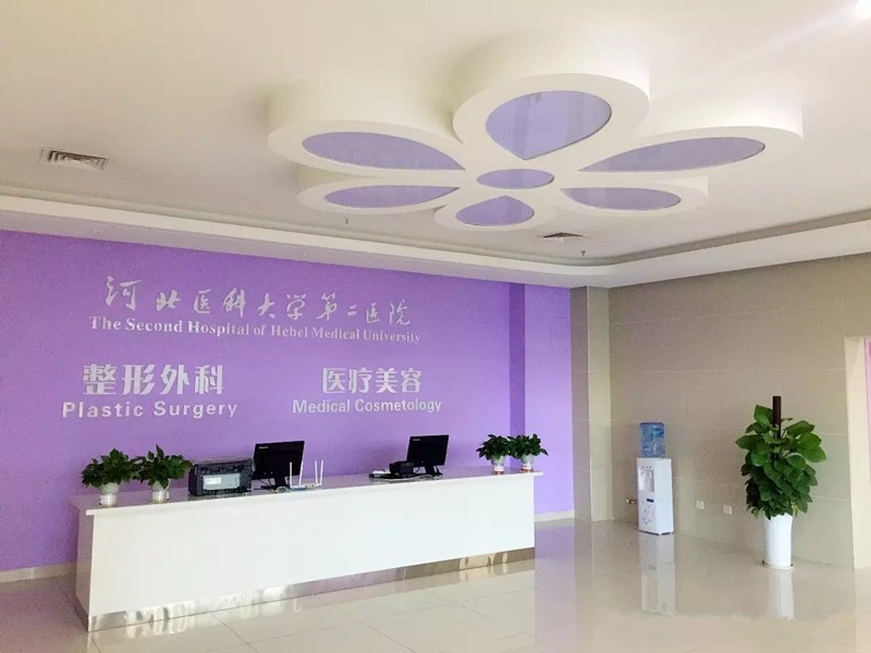河北省二院整形科 河北省二院整形科