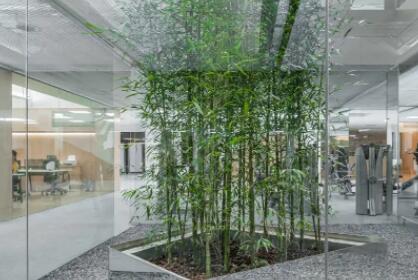 廣州未瀾康薈醫(yī)療美容門診部 廣州未瀾康薈醫(yī)療美容門診部