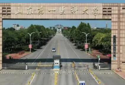 山東第一醫(yī)科大學(xué)第一附屬醫(yī)院整形科 山東第一醫(yī)科大學(xué)第一附屬醫(yī)院整形科