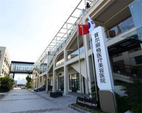 上海首爾麗格整形外科醫(yī)院 上海首爾麗格整形外科醫(yī)院
