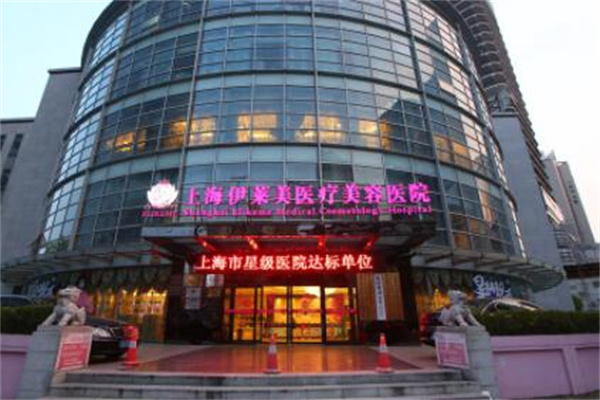 上海伊萊美 上海伊萊美