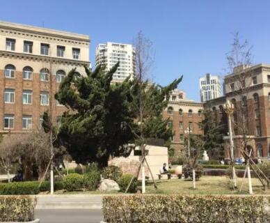 大連大學(xué)附屬中山醫(yī)院整形科 大連大學(xué)附屬中山醫(yī)院整形科