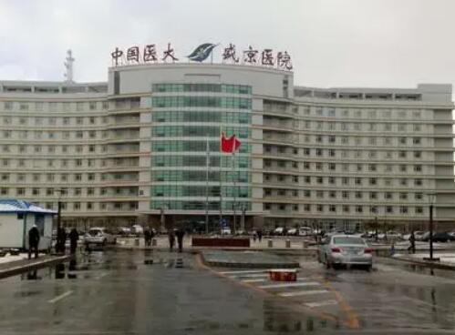 沈陽盛京醫(yī)院整形科 沈陽盛京醫(yī)院整形科