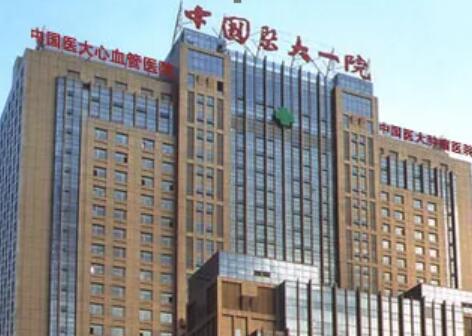 沈陽中國醫(yī)大一院整形外科 沈陽中國醫(yī)大一院整形外科