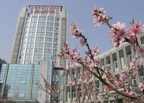 上海第一醫(yī)院靜安分院 上海第一醫(yī)院靜安分院