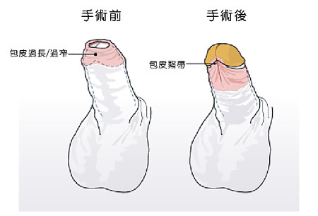 2023長沙頭發(fā)再生專家整理:頂級植發(fā)醫(yī)生推薦奉上 2023長沙頭發(fā)再生專家整理:頂級植發(fā)醫(yī)生推薦奉上