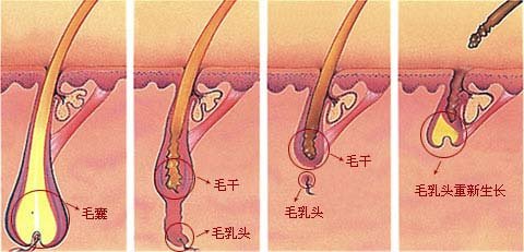 杭州最受歡迎的整形醫(yī)院盤點(diǎn)：維多利亞第一，華研、美立方在榜！