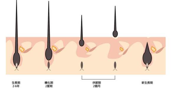 天津BSK生態(tài)美鼻醫(yī)院2023年綜合實(shí)力口碑排行榜發(fā)布 天津BSK生態(tài)美鼻醫(yī)院2023年綜合實(shí)力口碑排行榜發(fā)布
