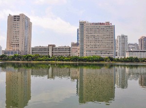 204511828_7_s.jpg