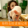 盧思珝