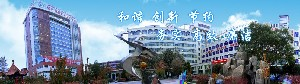喀什地區(qū)第一人民醫(yī)院硅膠墊下巴價(jià)格如何？效果如何？