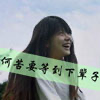 羅菲