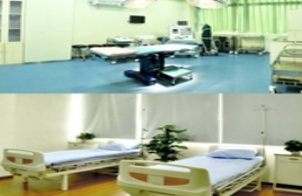 成都魅麗.png