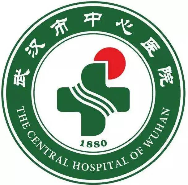 武漢市中心醫(yī)院醫(yī)學(xué)整形美容科_醫(yī)院logo