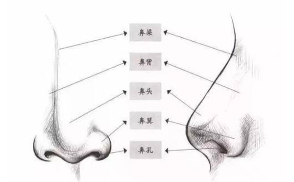 箭鼻矯正須知【成因、適宜人群、禁忌癥、手術(shù)原理、術(shù)前準(zhǔn)備、手術(shù)時(shí)間、恢復(fù)期】
