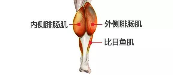 小腿肌肉阻斷術是什么？小腿神經阻斷術的后遺癥有嗎？